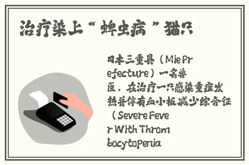 精品亚洲成a人在线观看青青